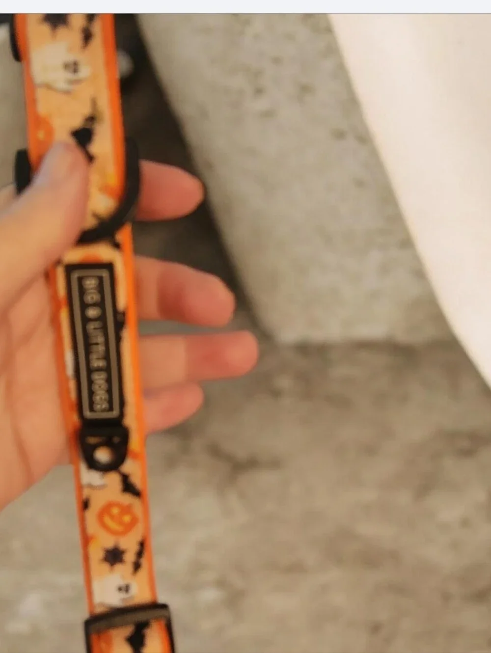 Halloween Pumpkin & Bat Dog Collar - EUC